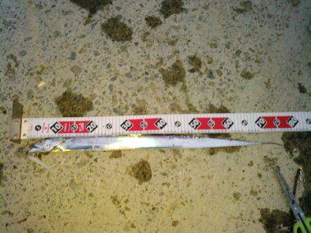 昨日に続いての釣行です‼